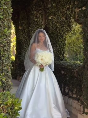Bridal Veil and blusher (worn once)